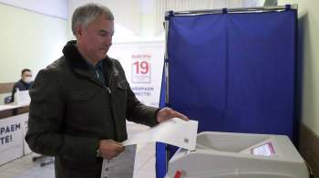 Володин оценил уровень явки на выборах в Госдуму
