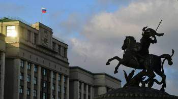 Совет Госдумы может рассмотреть обращение о признании ДНР и ЛНР 14 февраля