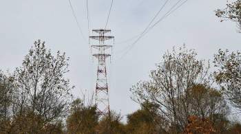 В Белоруссии заявили о прекращении поставок электроэнергии Украине