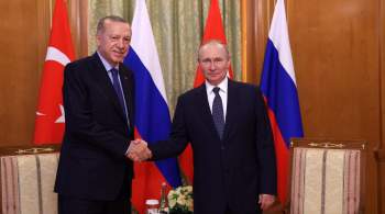 Путин и Эрдоган обсудили выполнение соглашений по продуктовой сделке