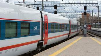 В Москве суд обязал испанскую компанию обслуживать поезда  Стриж 