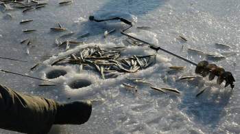 Два жителя Иркутской области провалились под лед во время рыбалки