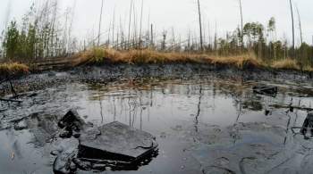 В Минприроды назвали площадь загрязнения почвы нефтью в Коми