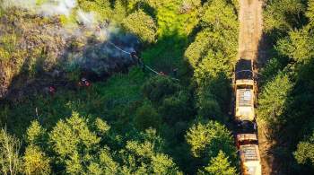 В Рязанской области увеличилась площадь лесных пожаров