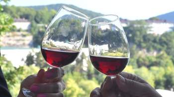 Эксперт назвал альтернативы недорогим винам из Италии и Испании 