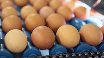 Минсельхоз призвал усовершенствовать ценообразование на рынке яиц