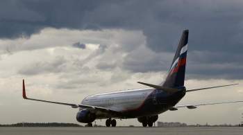 В  Аэрофлоте  рассказали о планах увеличить количество российских самолетов