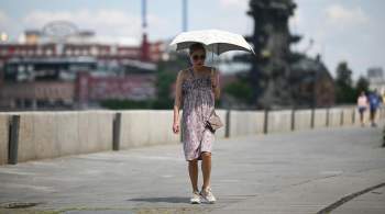 Эксперт оценил вероятность прихода в Москву сорокаградусной жары