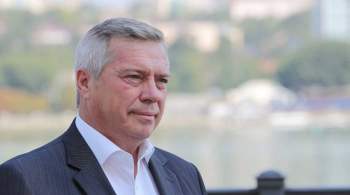 Глава Ростовской области отказался от мандата депутата Госдумы