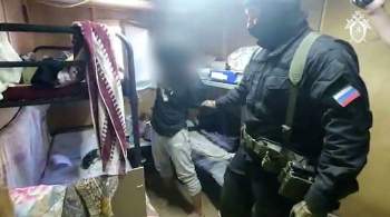 Появилось видео задержания боевика ИГ* в Подмосковье