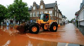 В Германии опасаются эпидемий и нашествия паразитов в зонах наводнения