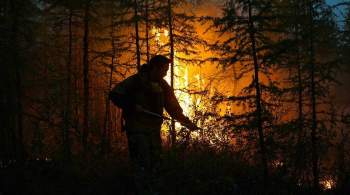 Дым от лесных пожаров в Якутии достиг Челябинской области