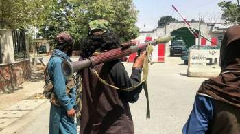 Талибы разоружили охрану крупнейшего афганского телеканала
