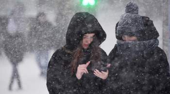 В Москве выпало семь сантиметров снега