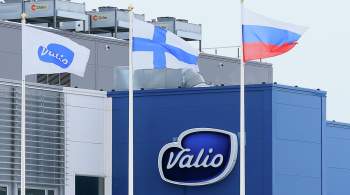 Торгпред рассказал, сколько финских компаний сократили бизнес в России