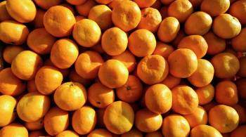 Диетолог рассказала, сколько мандаринов можно съедать в день