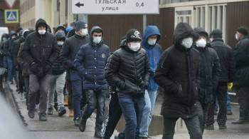 В Петербурге задержали пять человек,  помогавших  мигрантам встать на учет