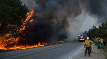 В Тюменской области тушат природный пожар на площади 572 гектаров