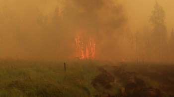 Якутия потратит около двух миллиардов рублей на тушение лесных пожаров