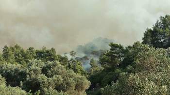 Число лесных пожаров на юге Турции сократилось вдвое 