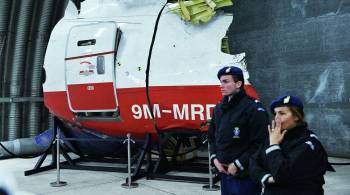 Москва призвала ЕСПЧ отклонить политические жалобы Киева по делу MH17