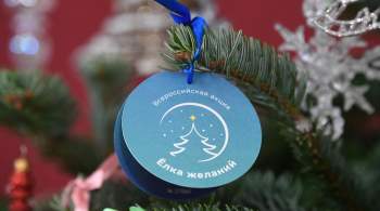 В Петербурге стартовала новогодняя акция  Дерево желаний  
