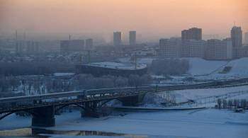 В Новосибирске остановили голосование за новогодний талисман из-за  фарса 