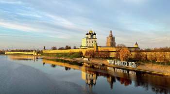 В Псковской области пресекли попытку незаконного использования БПЛА 