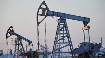 ОПЕК повысила прогноз по добыче нефти и конденсата в России 