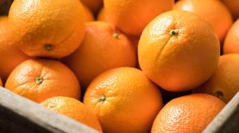 В августе в России рекордно подорожали апельсины 