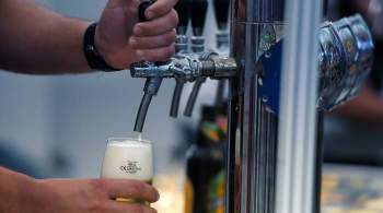 Союз пивоваров не исключил подорожание пива в России