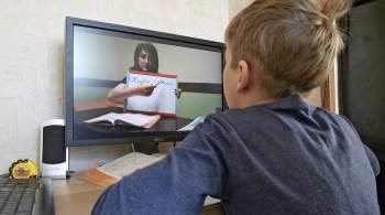 Власти Екатеринбурга ответят родителям, выступающим против онлайн-обучения