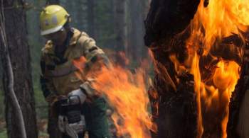 Пожары в Якутии добрались до жилых домов в одном из сел, жителей эвакуируют