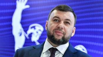 Пушилин предложил живущим в ДНР россиянам выезжать голосовать в Ростов