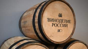 Глава "Абрау-Дюрсо" назвал реальную стоимость хорошего российского вина 