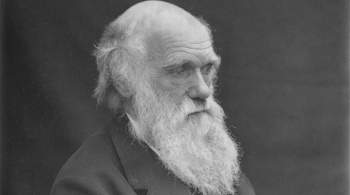Неизвестный вернул библиотеке пропавшие записные книжки Чарльза Дарвина 