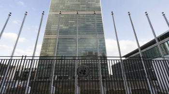 Афганистан назначил исполняющего обязанности представителя при ООН