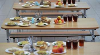 СК завел дело из-за халатной организации питания в школах Красноярска 