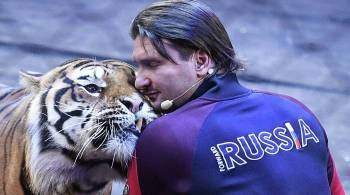 Эдгард Запашный рассказал, откуда в цирке появляются новые тигры