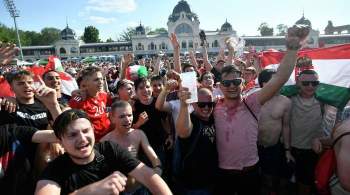 Фанаты сборной Венгрии выступили против движения BLM