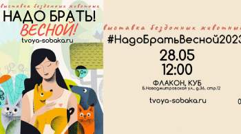 В Москве пройдет выставка бездомных животных #НадоБратьВесной2023
