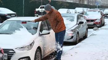 Высота снежного покрова в Москве превысила семь сантиметров 