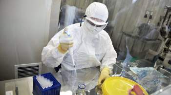 ВОЗ объявила об окончании новой вспышки лихорадки Эбола в Гвинее