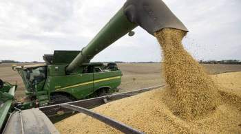 Минсельхоз предложил продлить на год отмену госрегистрации сои с ГМО
