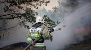 В Красноярском крае ликвидировали пожар, перешедший на деревню