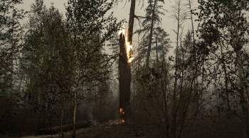 В Якутии ввели режим ЧС межрегионального характера из-за лесных пожаров