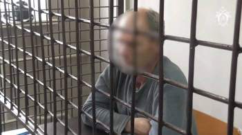 Суд арестовал обвиняемого в убийстве девочек в Кемеровской области
