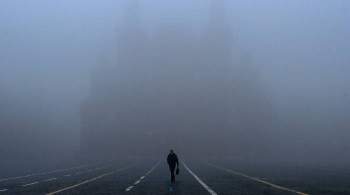 В Москве ожидается плотный туман