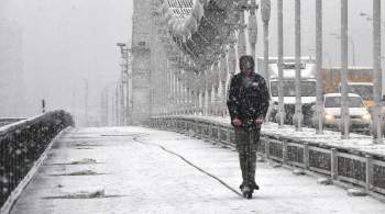 В Москве сформировался снежный покров до шести сантиметров