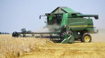 В Белоруссии заявили, что страна не планирует экспорт зерна